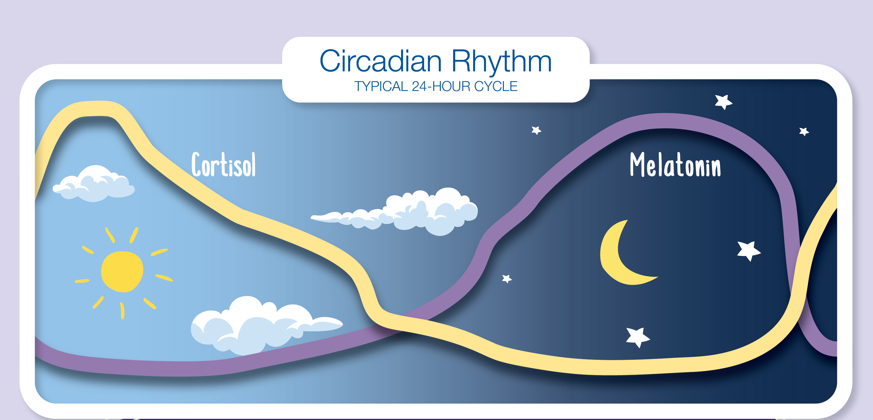 Circadian Rhythms