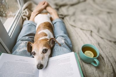 Self-Care-laying-down-with-dog-and-cup-of-tea