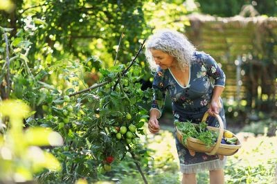 Woman-harvesting-vegetable-in-her-garden